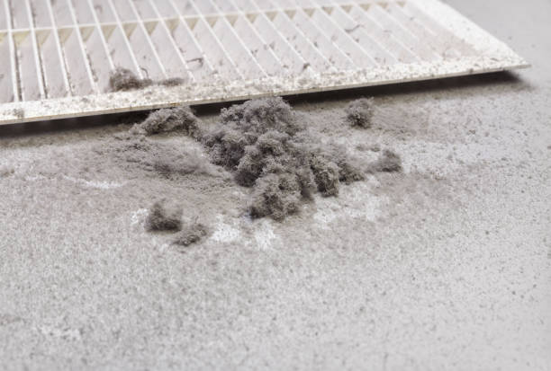 Best Commercial HVAC Duct Cleaning  in Johns Creek, GA